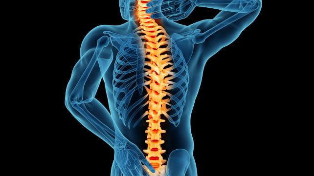Medtronic, Merit Medical Lead Europe Vertebral Compression Fracture Market Fueled by Favorable Reimbursement – New Study