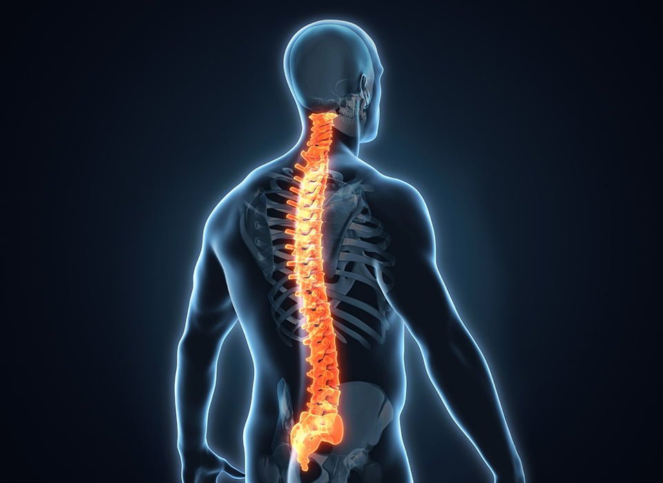 How Companies Are Actively Driving Growth in the Minimally Invasive Spinal Surgery Market
