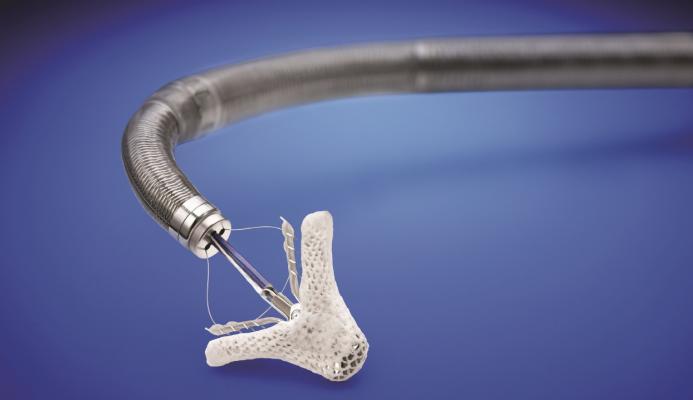 Latest Developments in Cardiology 2019