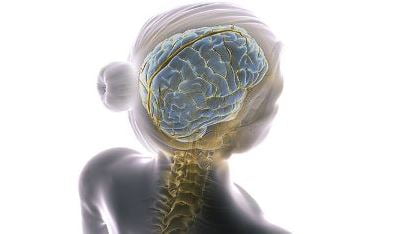 Stryker Launches Next-Gen Flow Diverter for Treatment of Brain Aneurysms