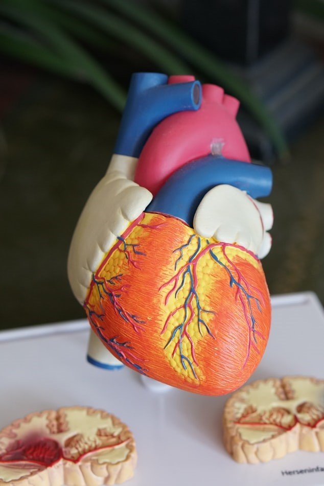 CorMatrix Cardiovascular CorPATCH FDA Cleared