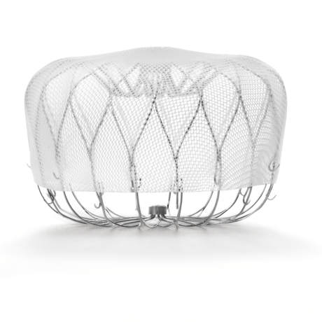 Boston Scientific Granted FDA Approval for Stroke Prevention Device
