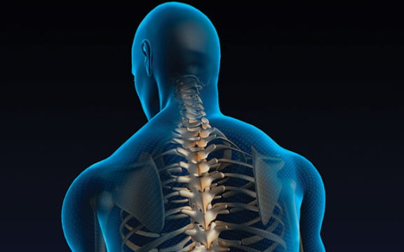 Global Spine Market to Reach $18 Billion by 2023 According to New Analysis by iData Research