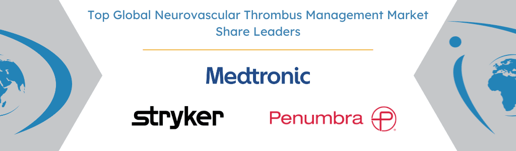 Neurovascular Thrombus Management Market Share Leaders
