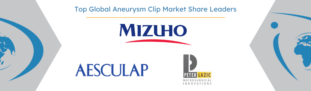 Global Aneurysm Clip Market