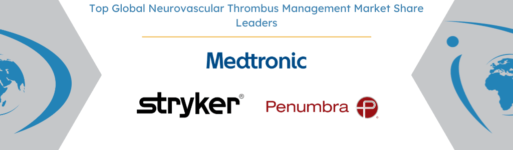 Global Neurovascular Thrombus Management Market