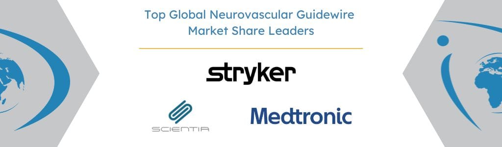 Top Global Neurovascular Guidewire Market Share Leaders - iData Research