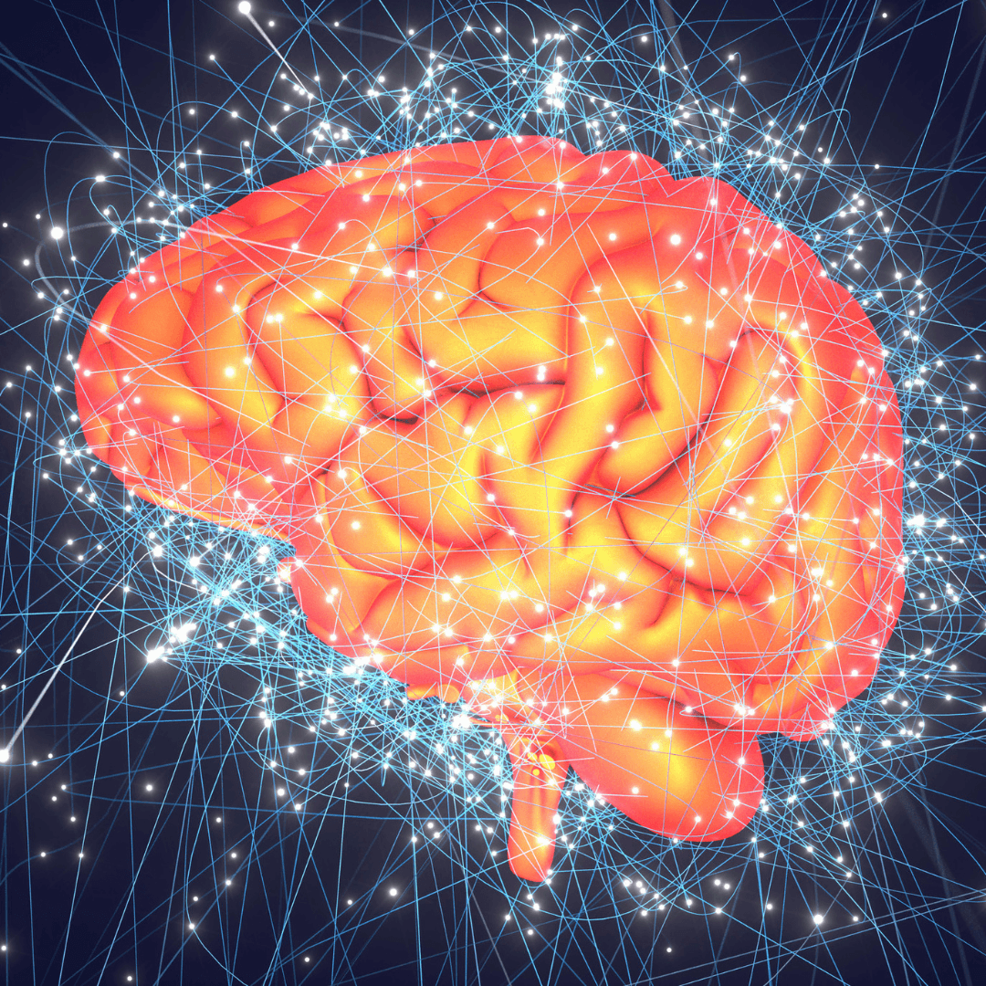 Exploring the Growth of the Neuromodulation Market: Key Drivers and Trends