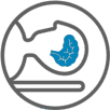Imaging devices market reports blue idata research