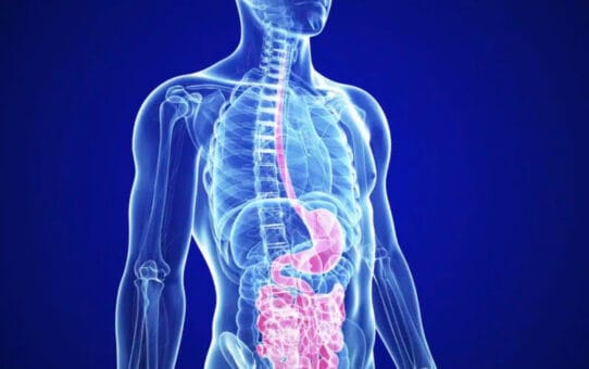 Key Players in the Global Gastrointestinal Endoscopic Device Market: A Deep Dive