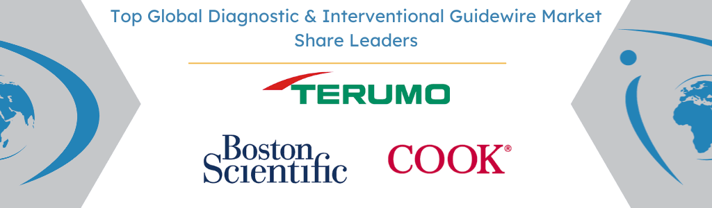 Global Diagnostic & Interventional Guidewire Market