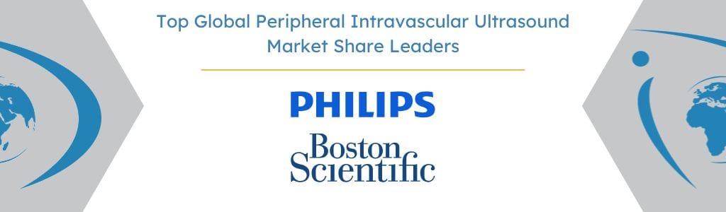 Top Global Peripheral Intravascular Ultrasound Market Share Leaders - iData Research
