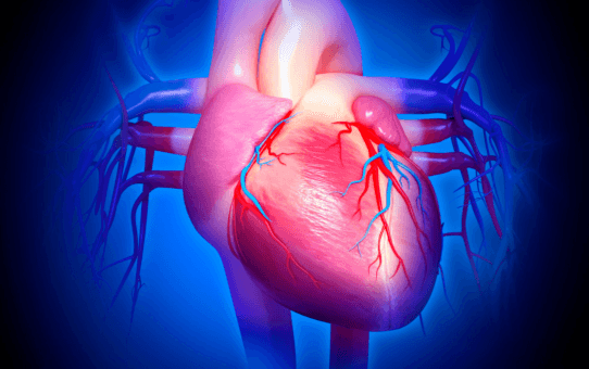 The Latest Cardiovascular Innovations: AI, Clinical Trials, and FDA Clearances