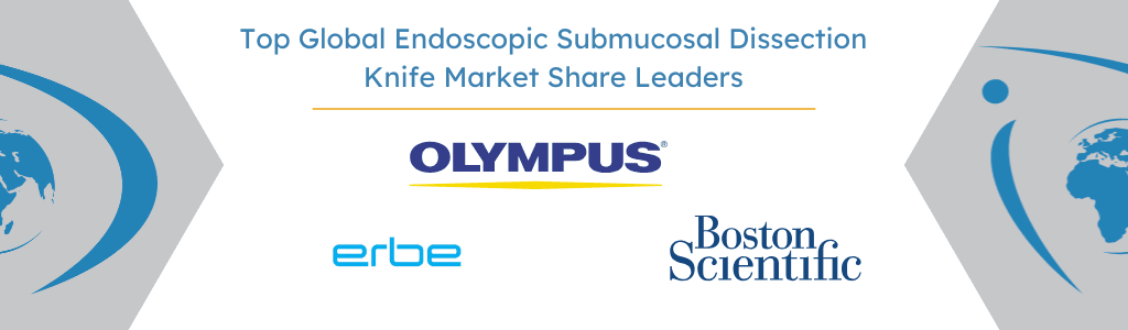 Top Global Endoscopic Submucosal Dissection Knife Market Share Leaders