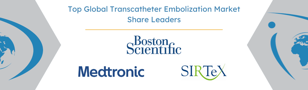 Top Global Transcatheter Embolization Market Share Leaders