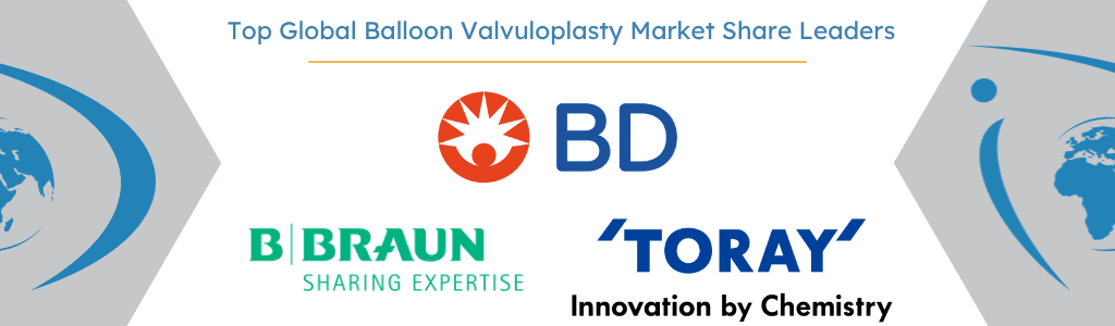 Top Global Balloon Valvuloplasty Market Share Leaders