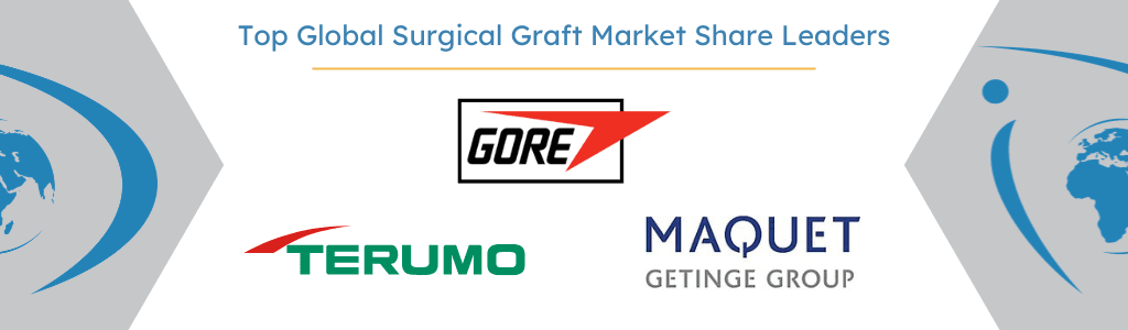 Top Global Surgical Graft Market Share Leaders