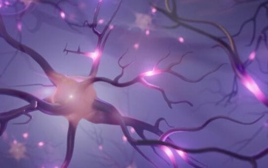 Closed-Loop Neurostimulation Market Trends and Growth