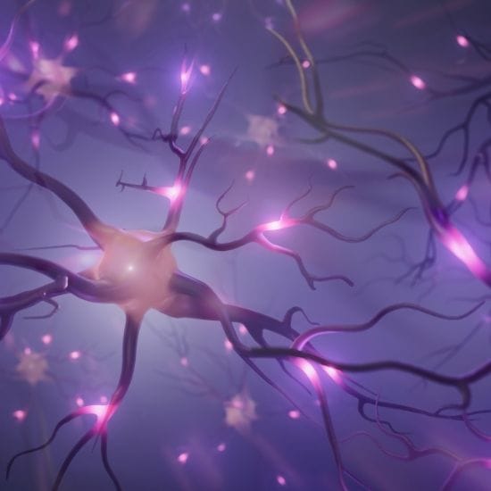 Closed-Loop Neurostimulation Market Trends and Growth - iData Research
