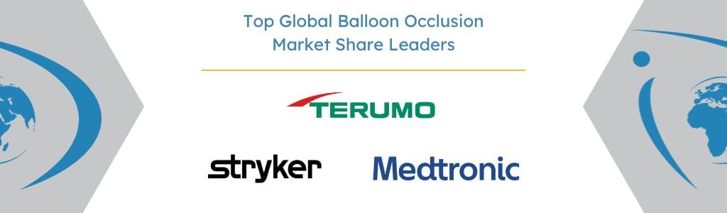 Top Global Balloon Occlusion Market Share Leaders - iData Research