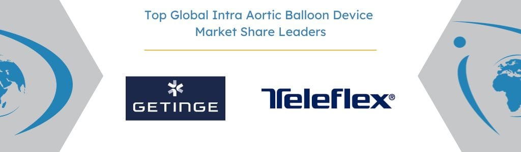 Top Global Intra Aortic Balloon Device Market Share Leaders - iData Research