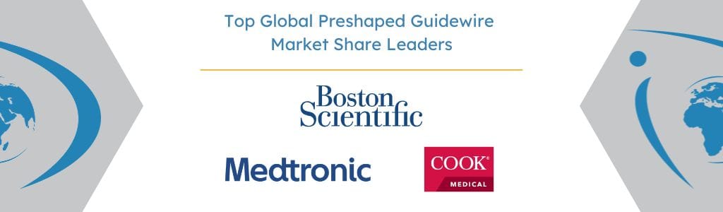 Top Global Preshaped Guidewire Market Share Leaders - iData Research